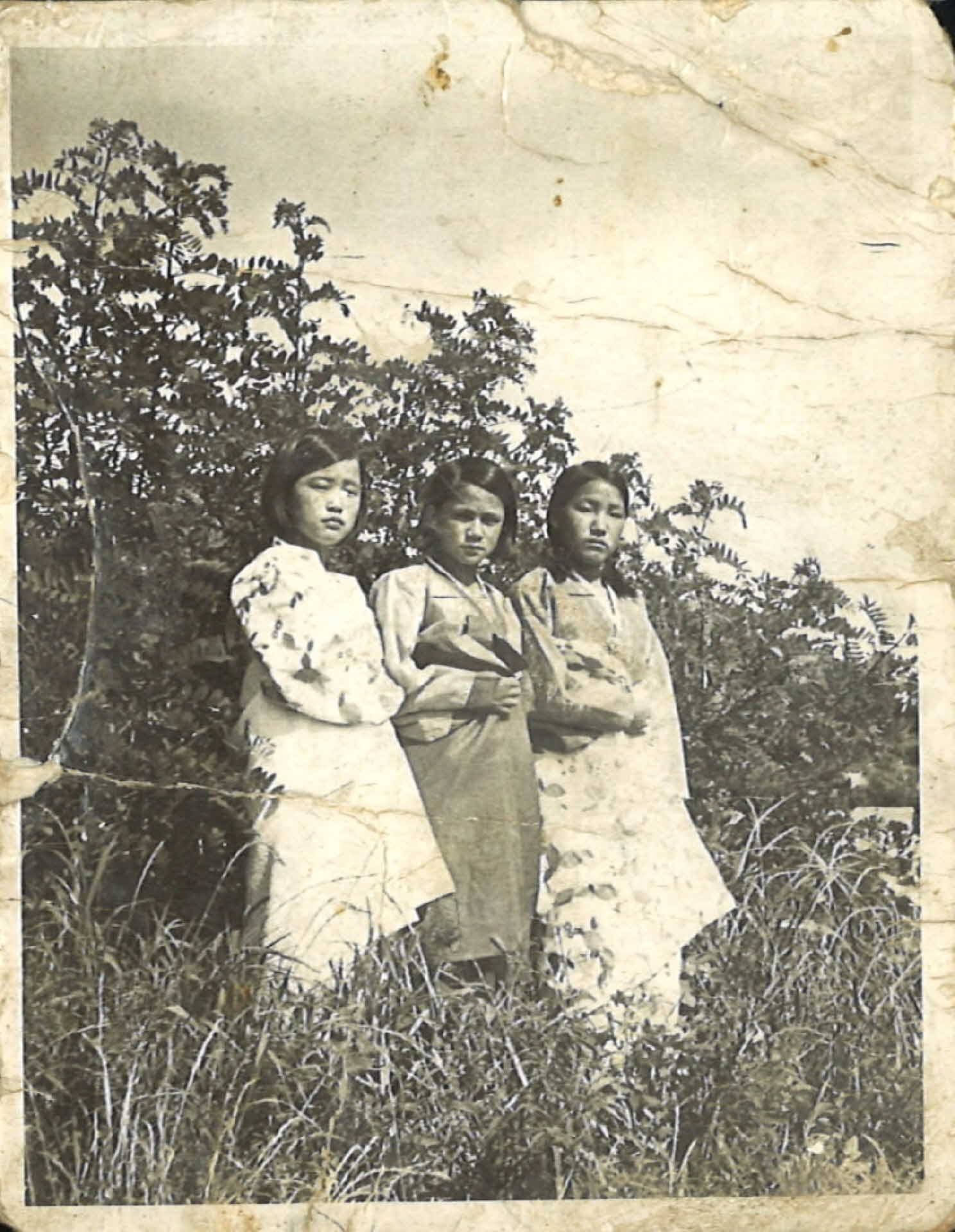 김선옥과 친구들 숯골사진