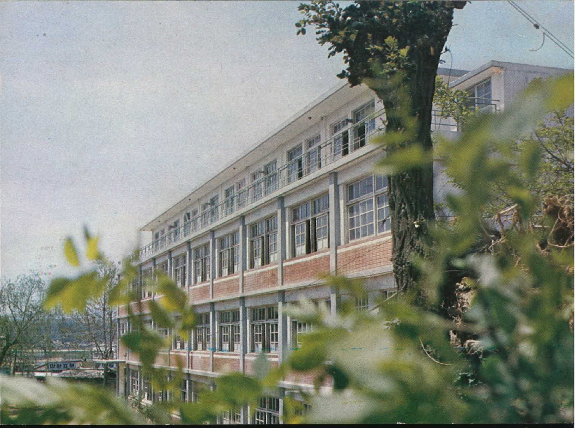 영광중고등학교 엽서