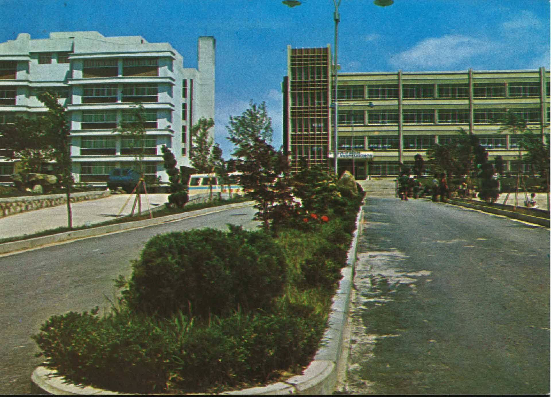 엽서-영동고등학교 진입로