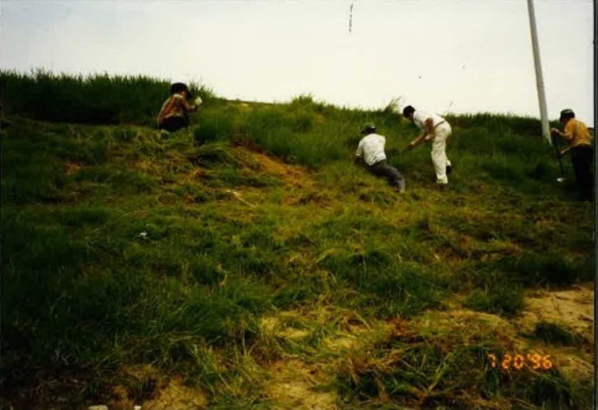 새마을운동 활동사진-서천둔치주변 정비