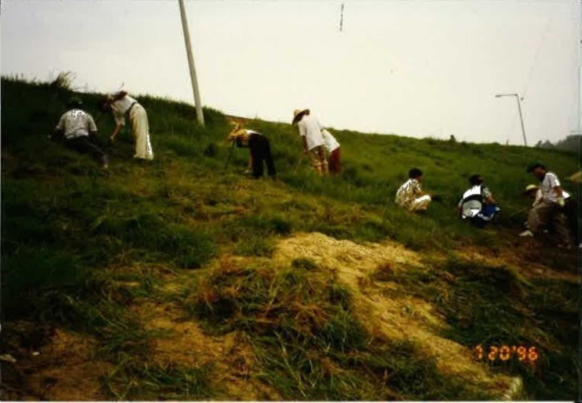 새마을운동 활동사진-서천둔치주변 정비