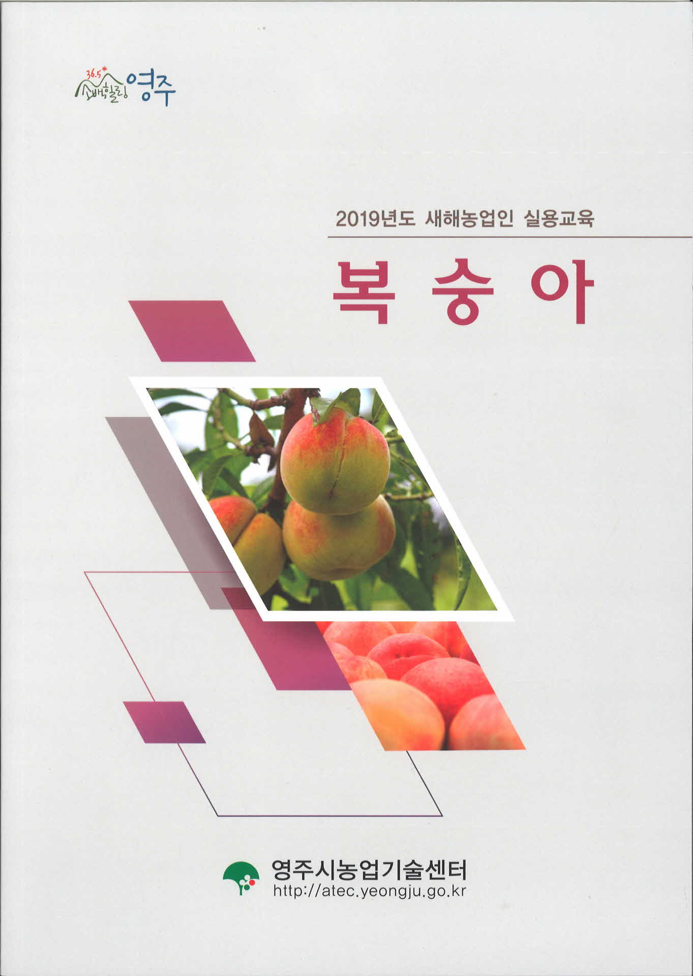 2019년 새해농업인 실용교육 복숭아