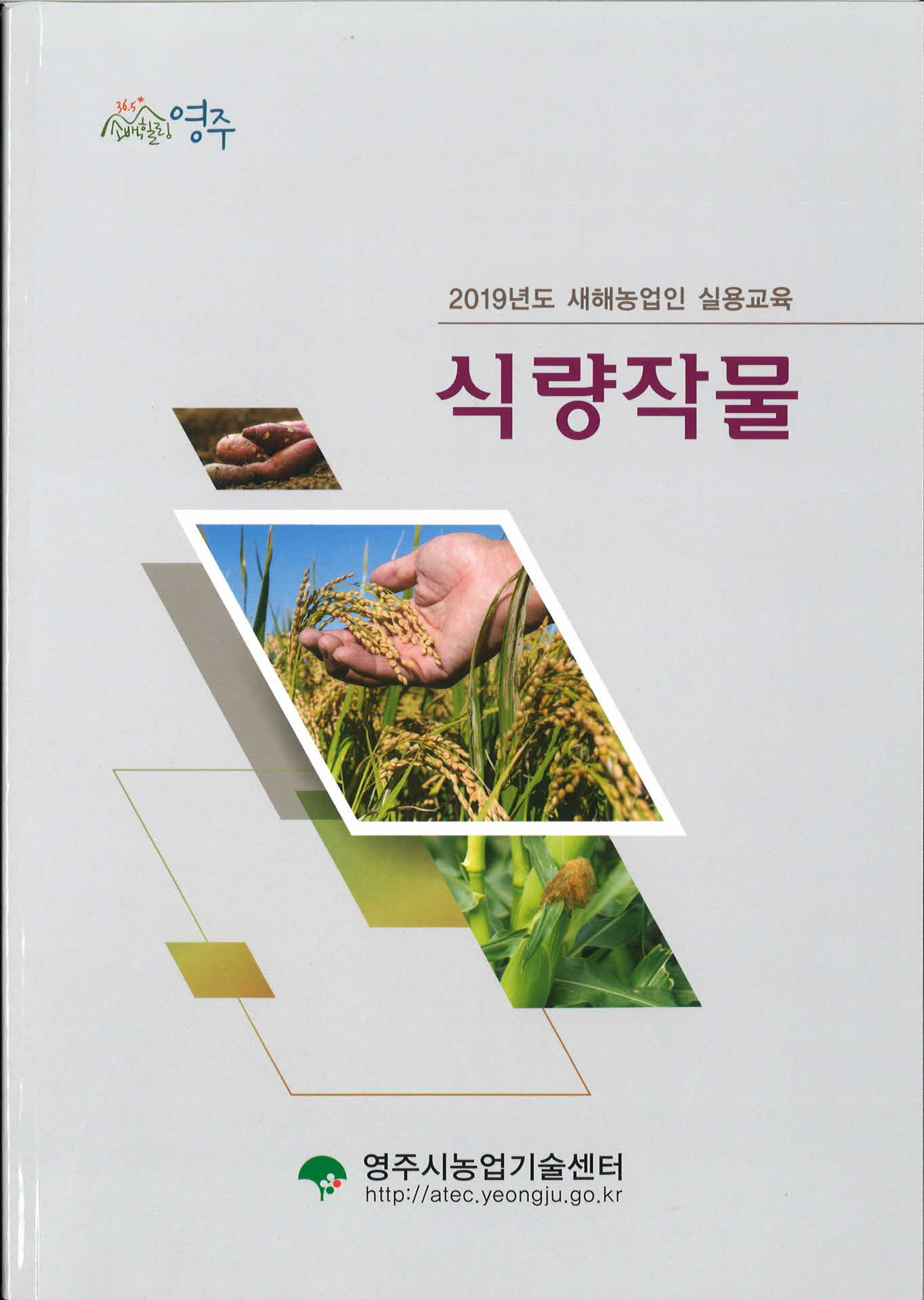 2019년 세해농업인 실용교육 식량작물