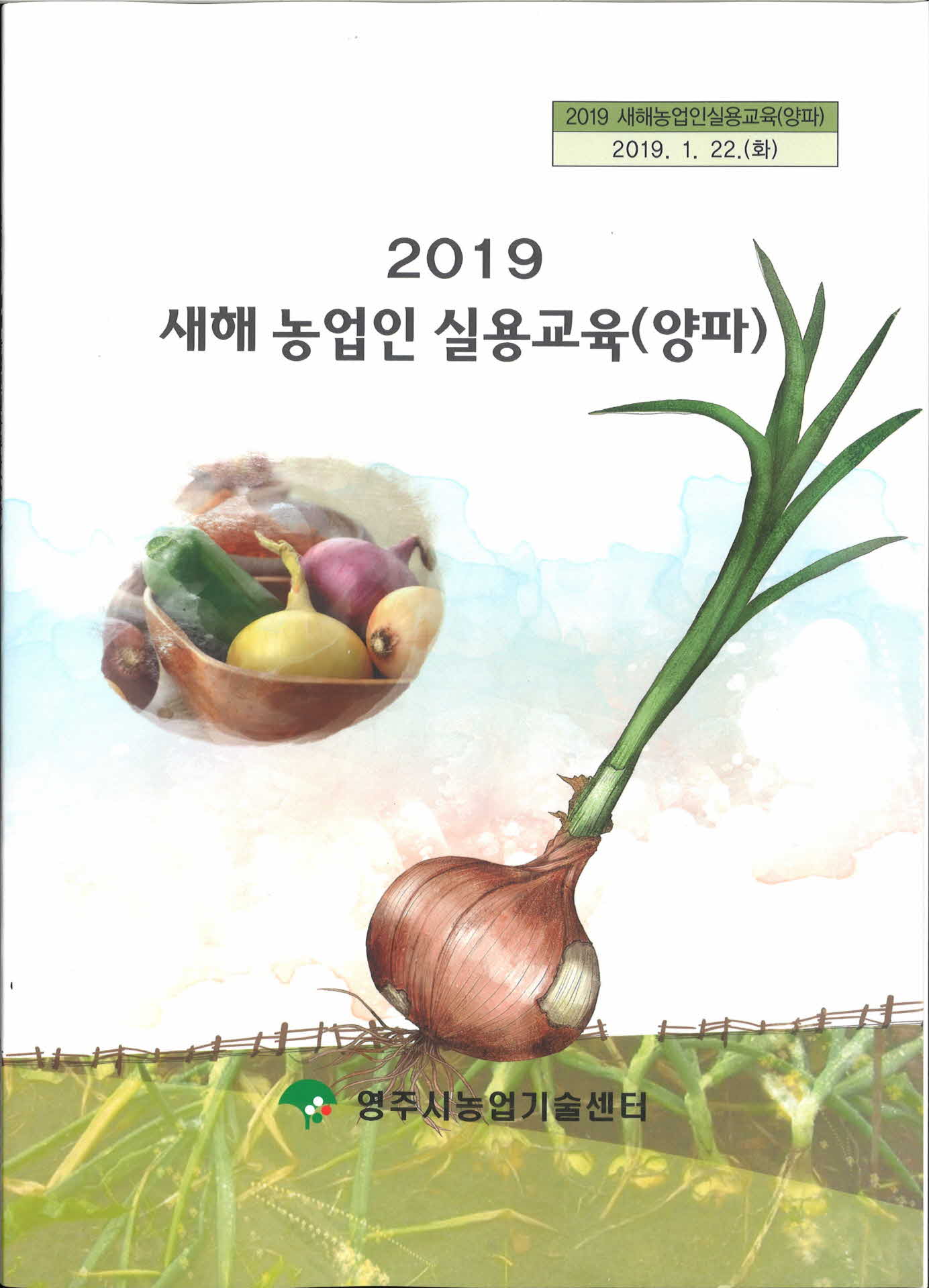 2019 새해 농업인 실용교육 양파