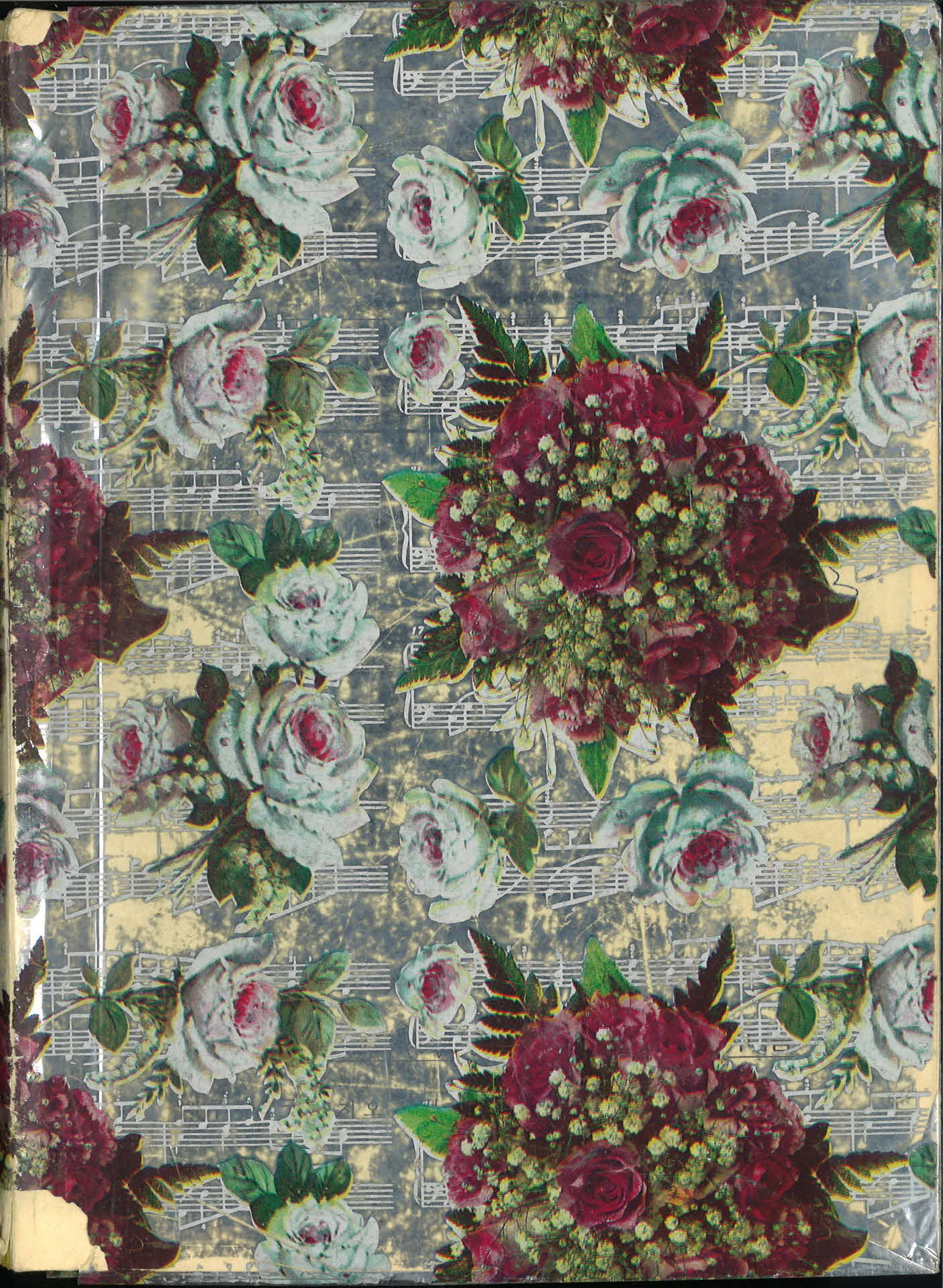 천주교 대구대 교구 단장 주회계획서