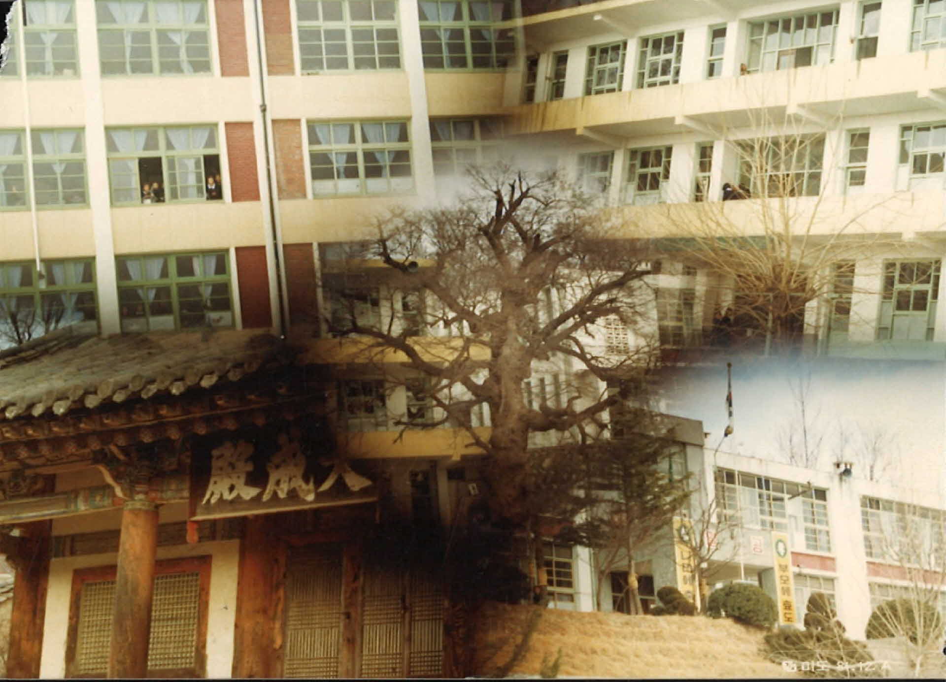 영주향교와 편집된듯한 사진