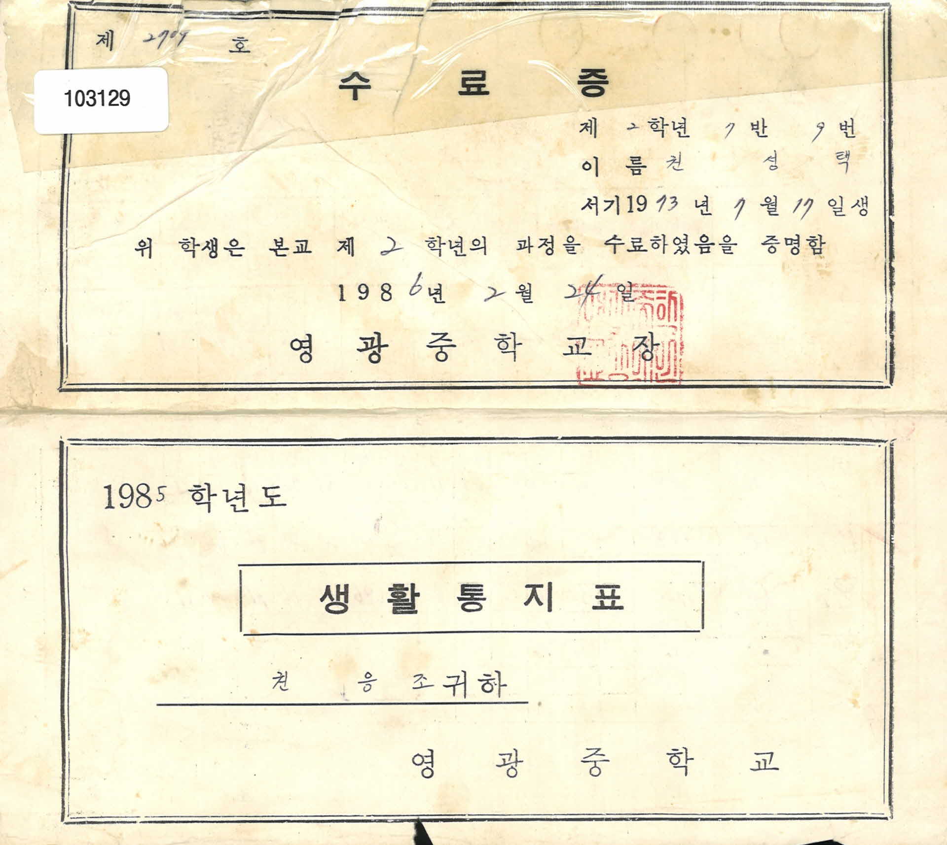 영광중학교 생활통지표