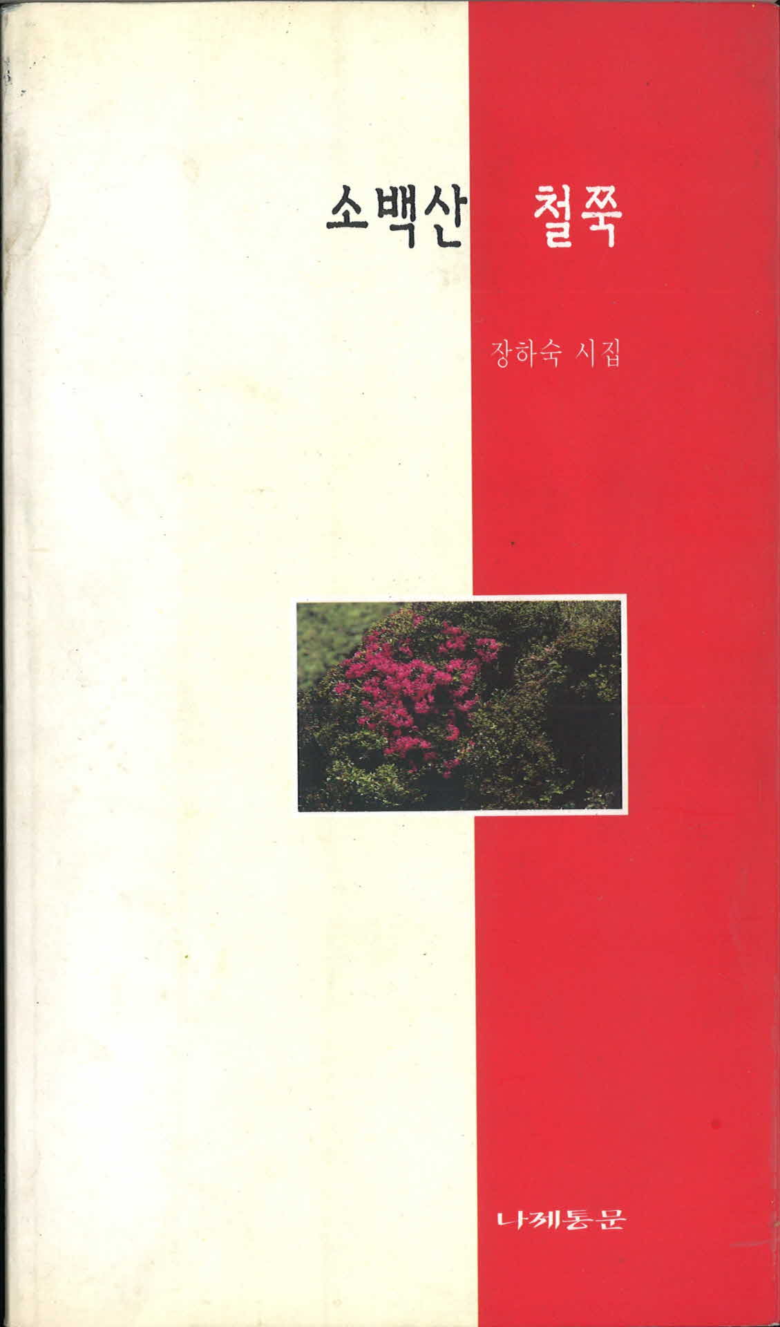 소백산 철쭉