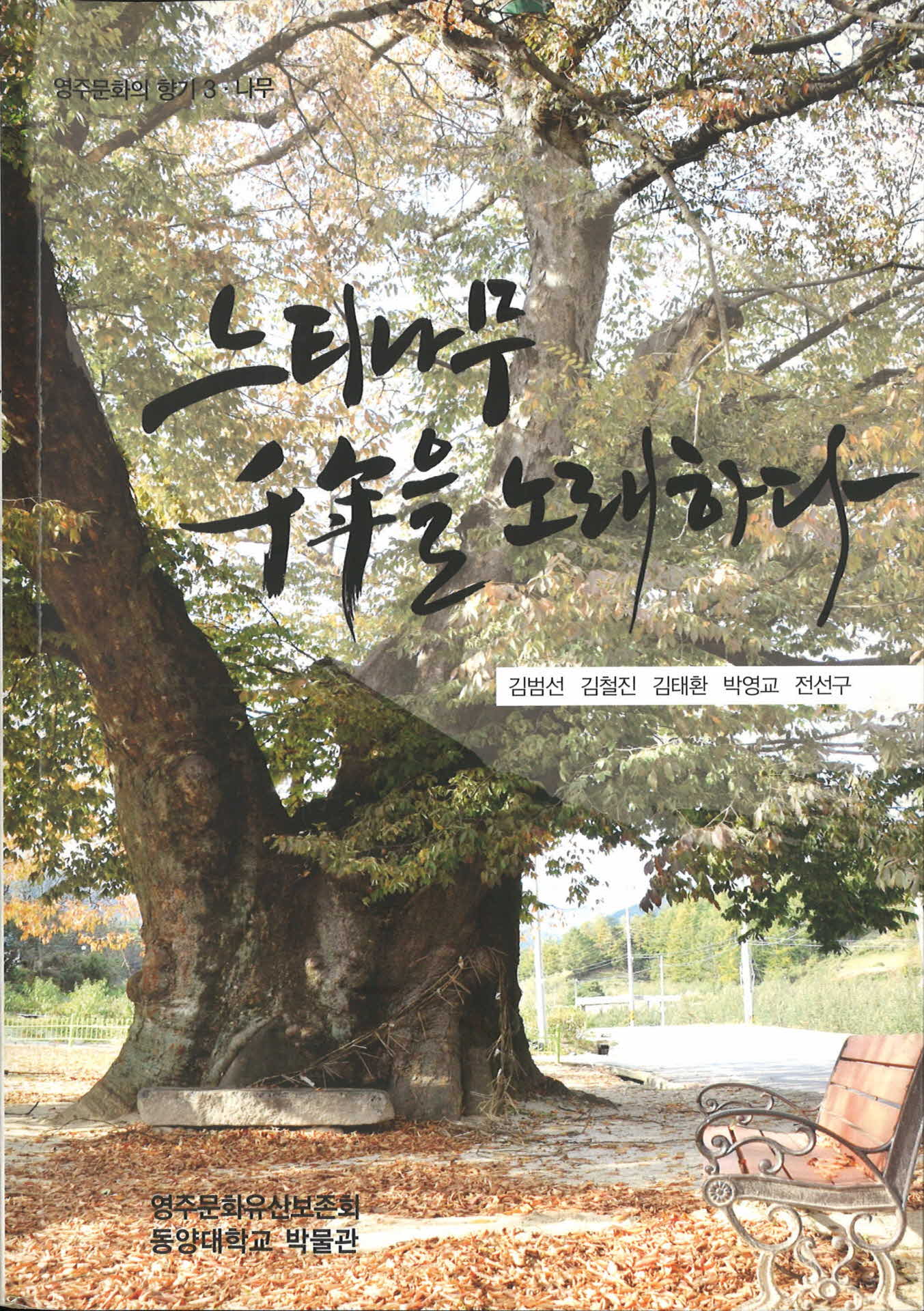 느티나무 천년을 노래하다