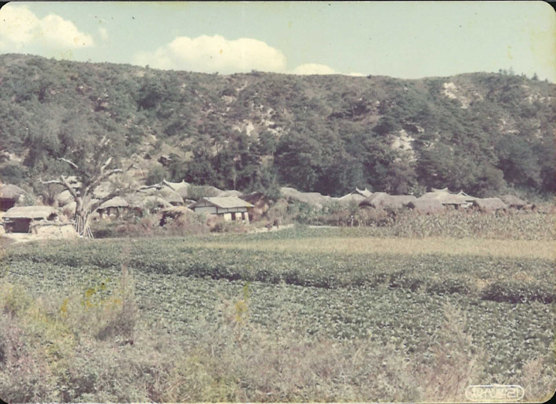 사진 -영주 농촌의 풍경사진