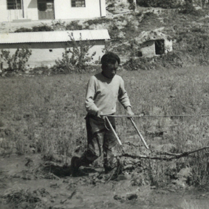 영주를 기억하는 우리들