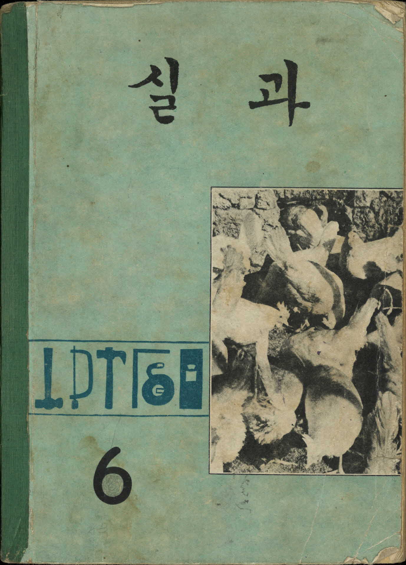 국민학교 6학년 『실과』 교과서
