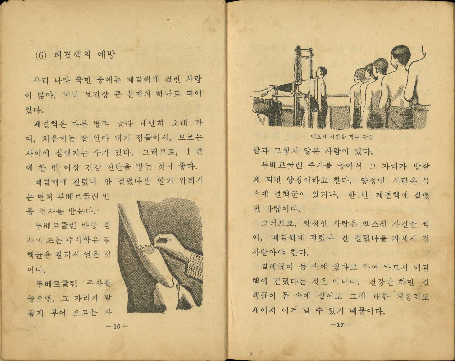 국민학교 5학년 1학기 『자연』 교과서