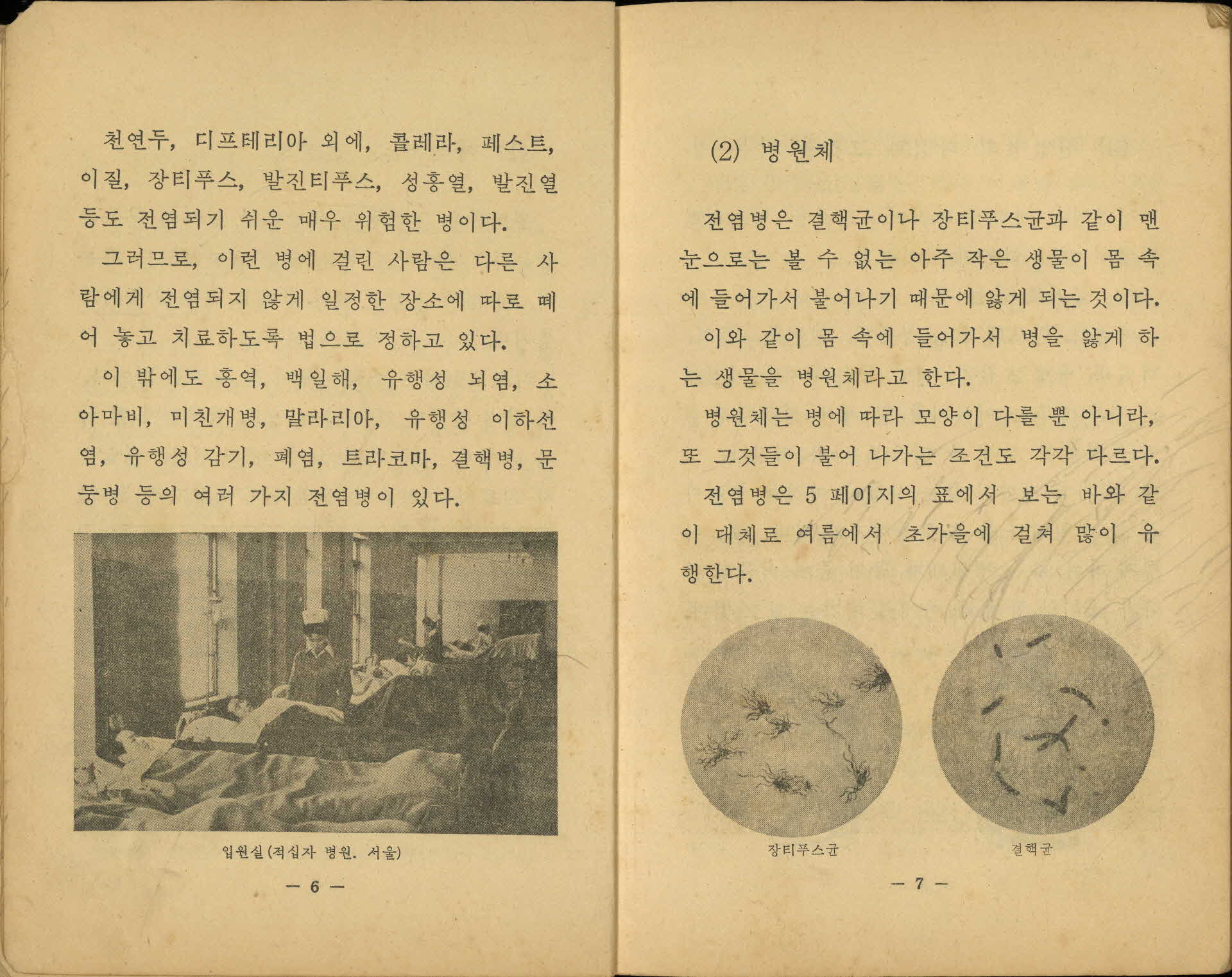 국민학교 5학년 1학기 『자연』 교과서