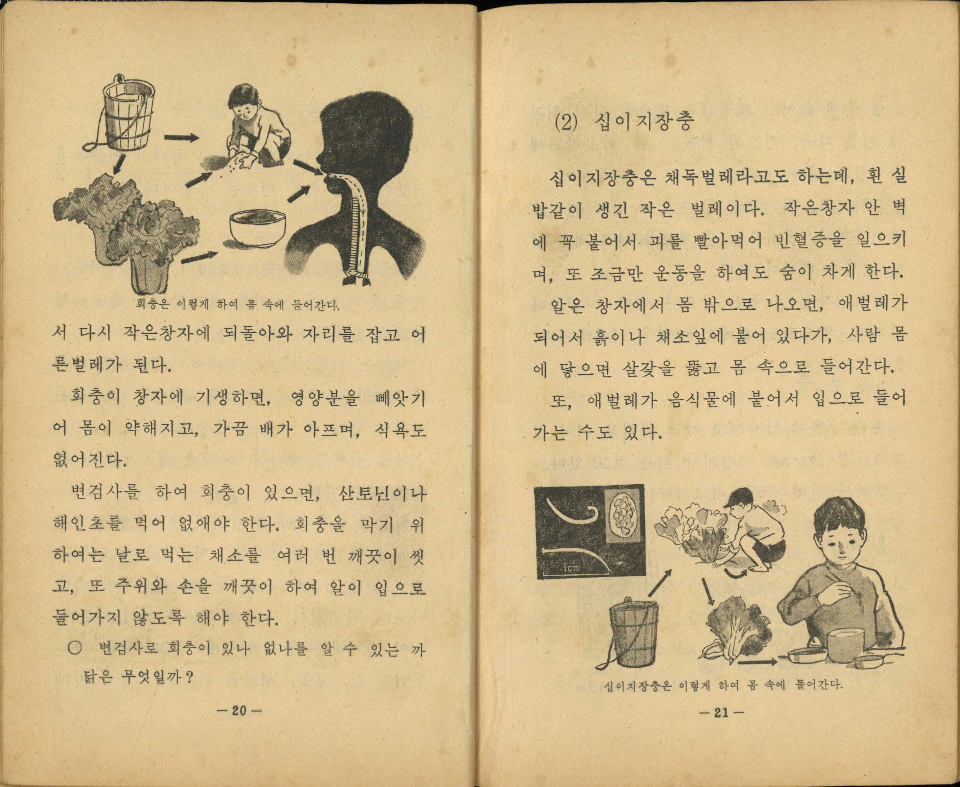 국민학교 5학년 1학기 『자연』 교과서