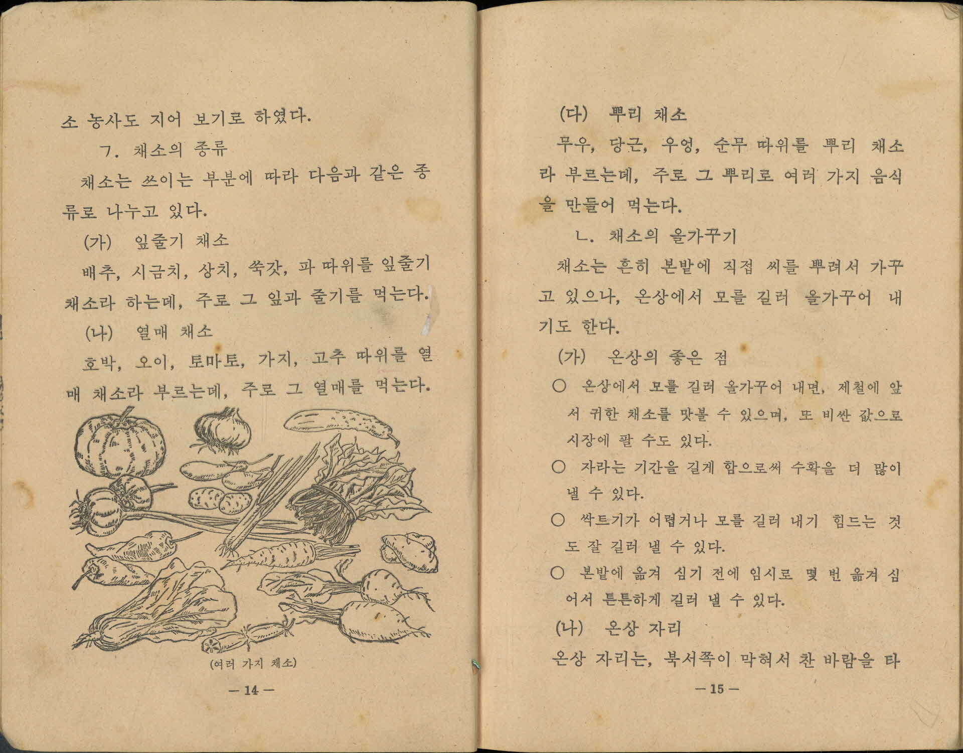 국민학교 6학년 『실과』 교과서