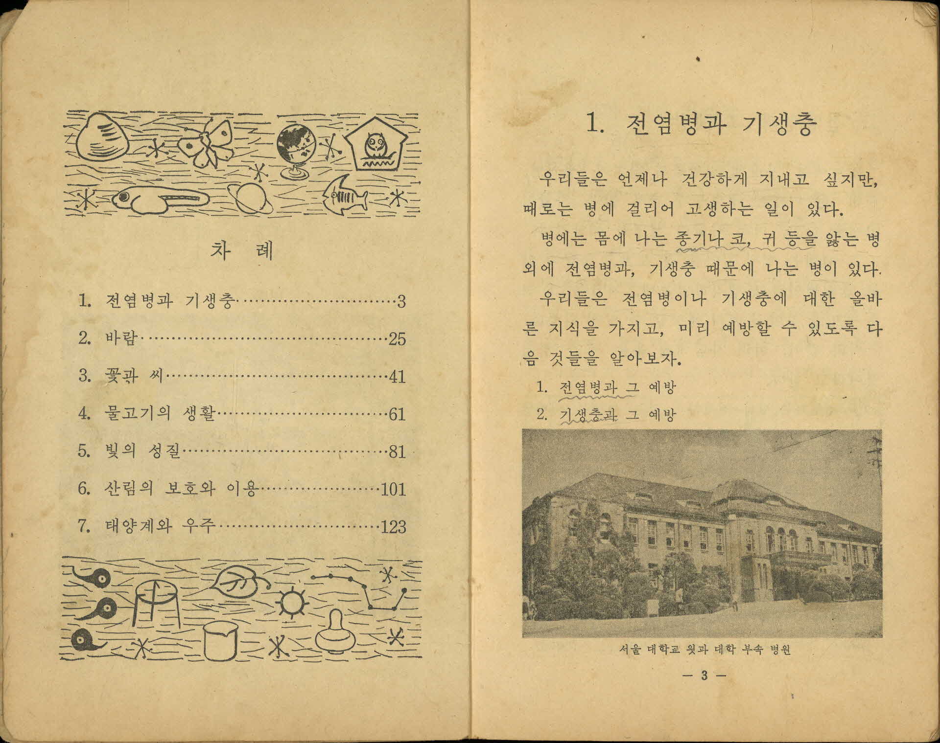 국민학교 5학년 1학기 『자연』 교과서