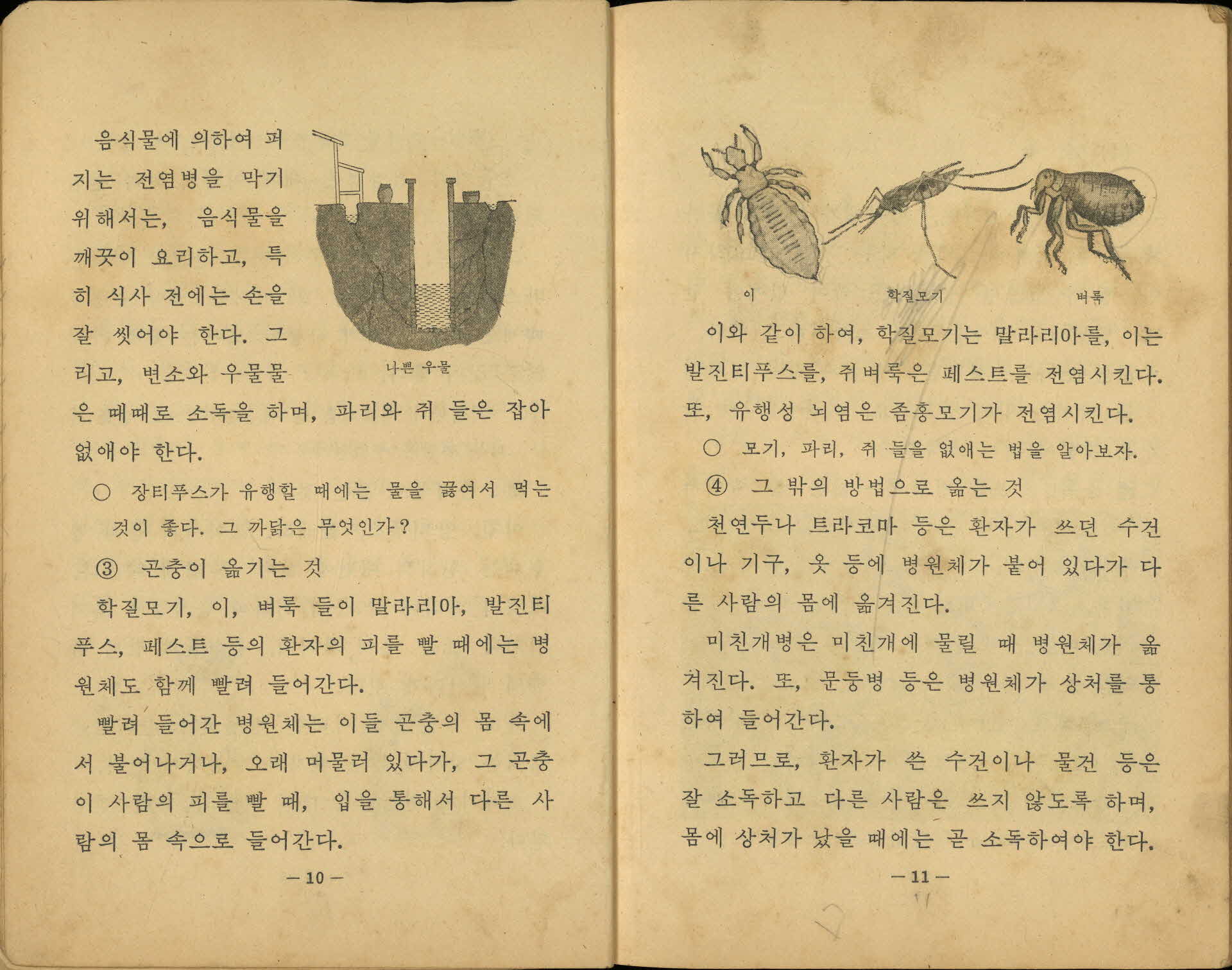 국민학교 5학년 1학기 『자연』 교과서