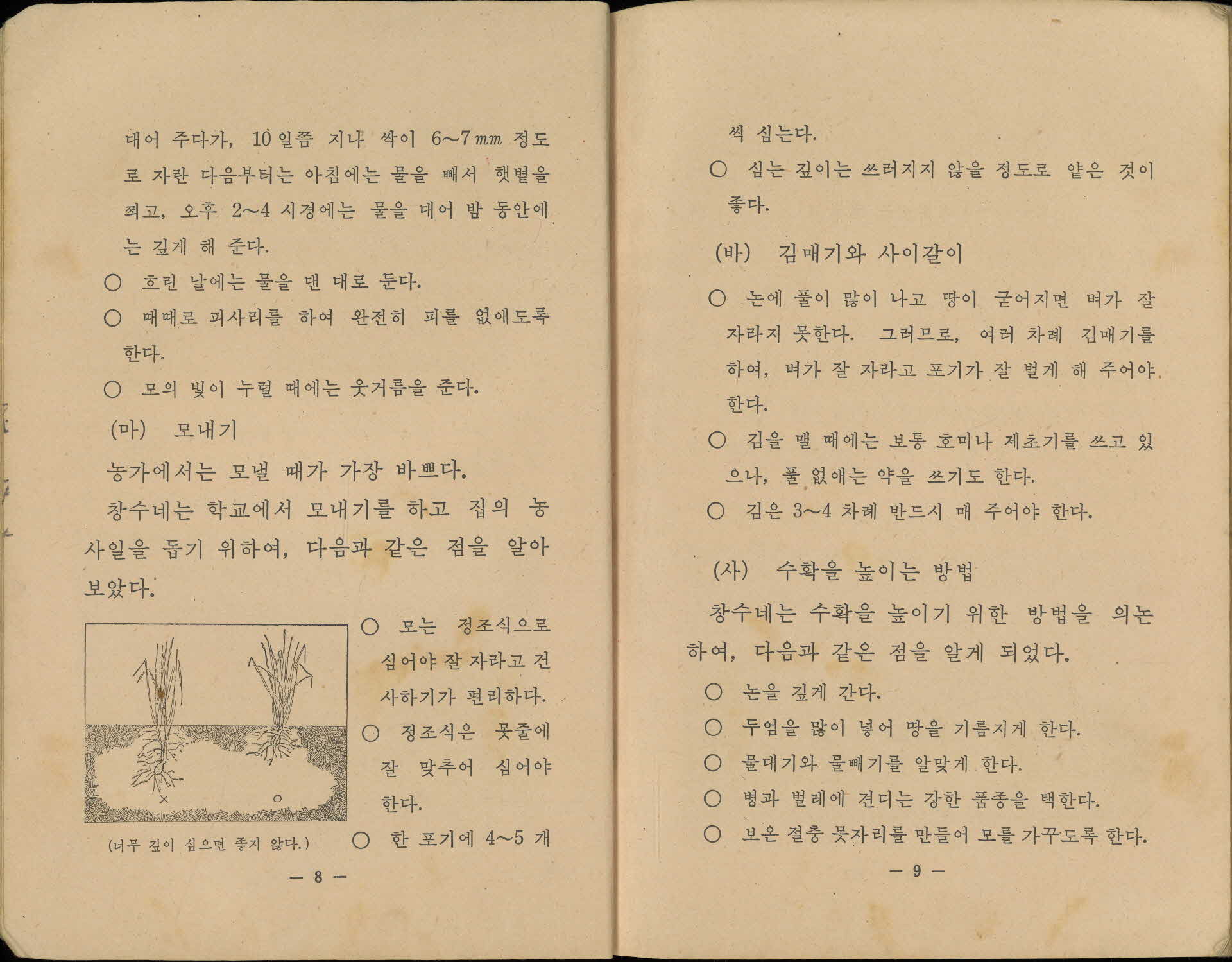 국민학교 6학년 『실과』 교과서