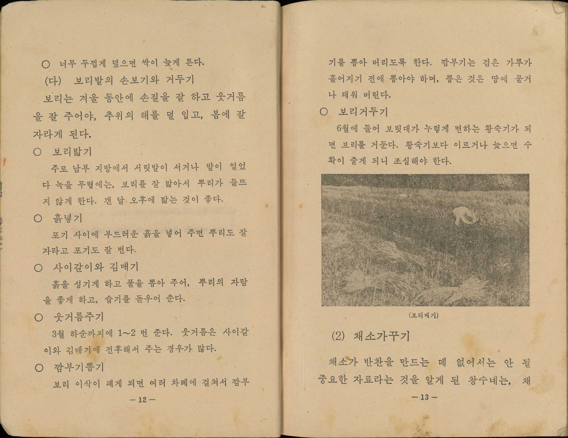 국민학교 6학년 『실과』 교과서