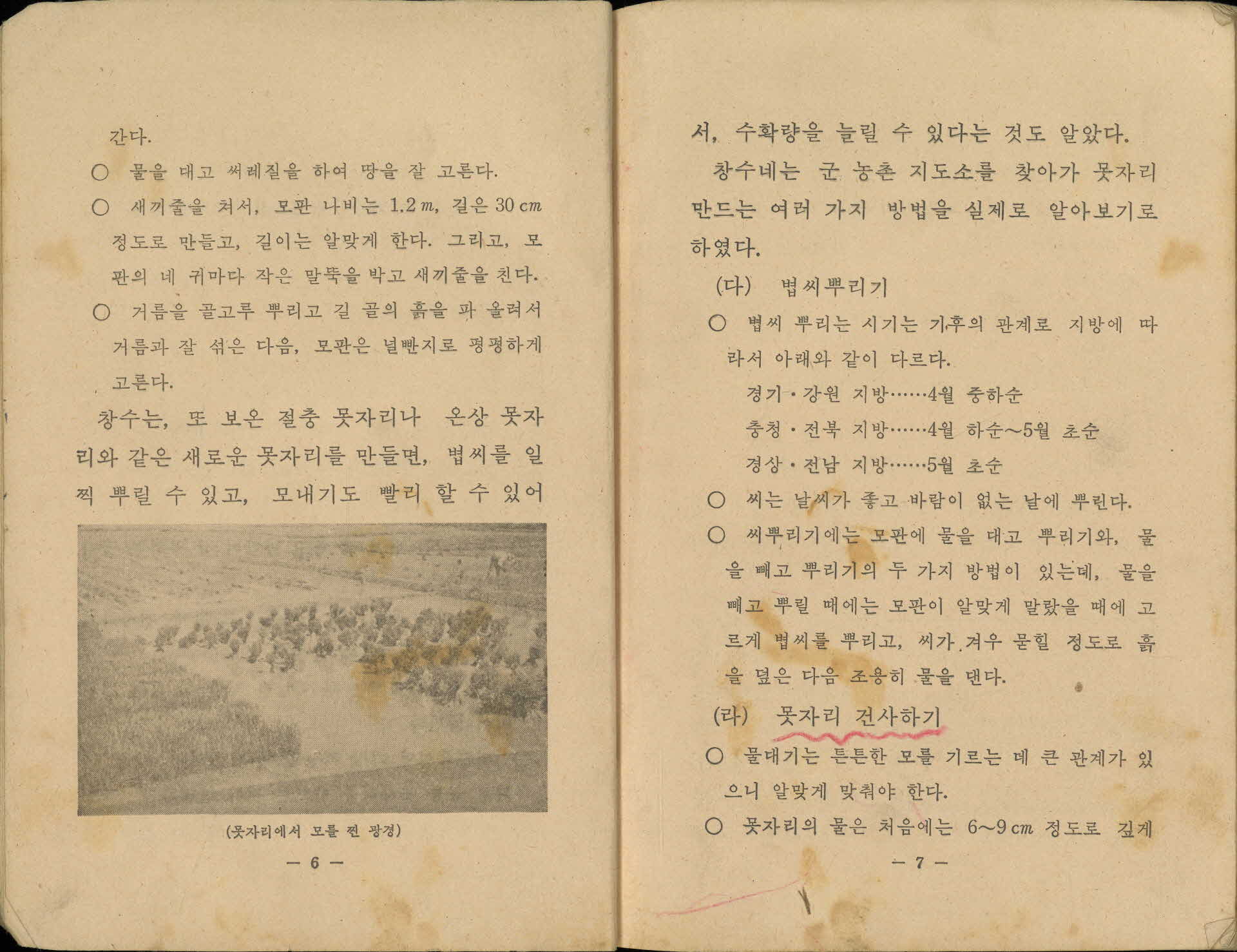 국민학교 6학년 『실과』 교과서