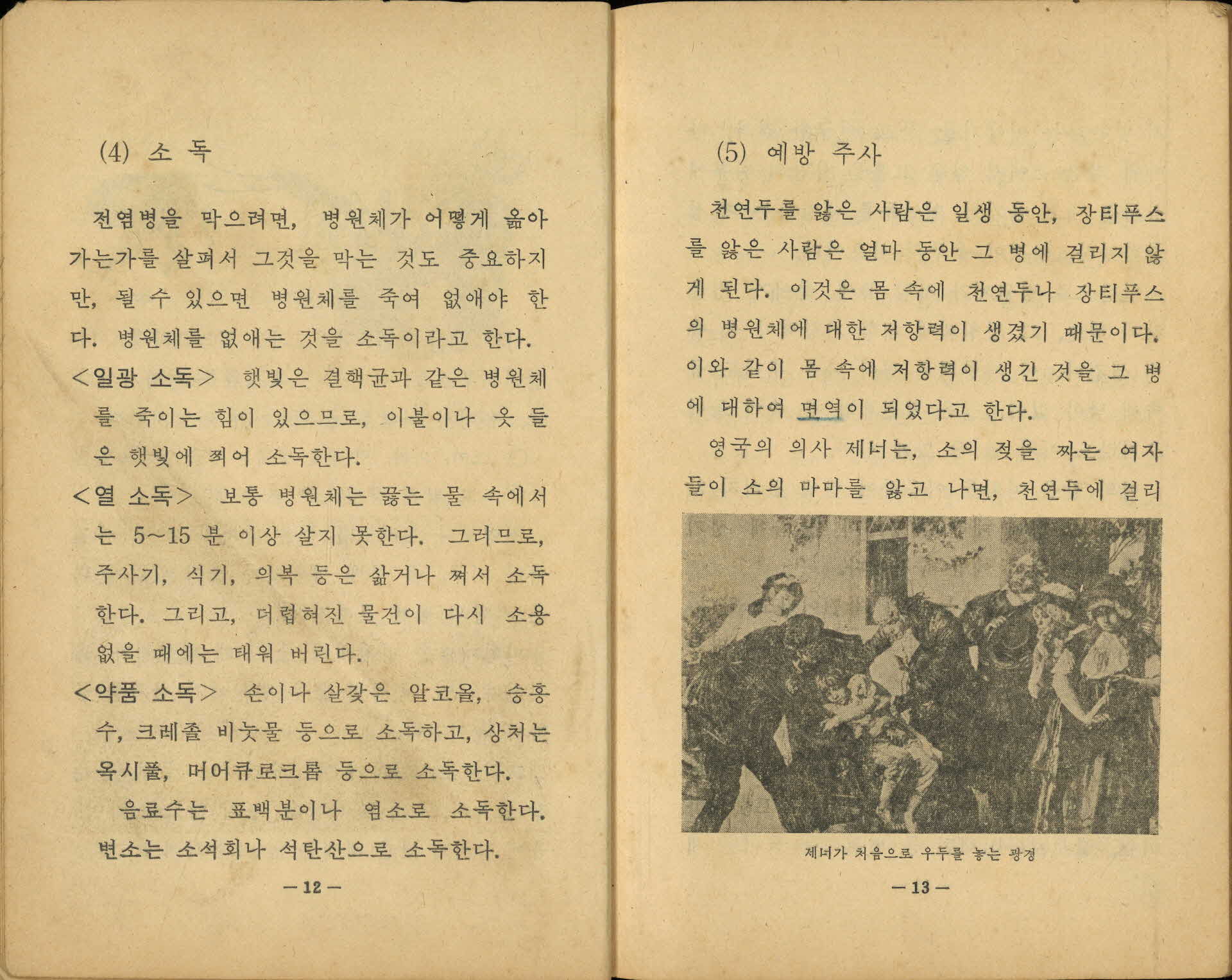 국민학교 5학년 1학기 『자연』 교과서