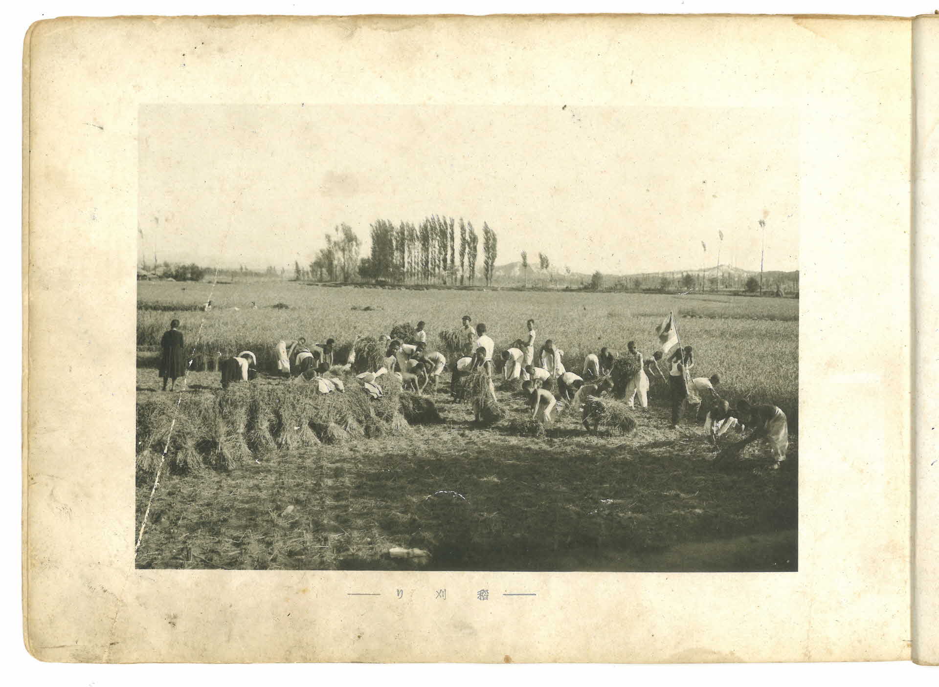 안정공립심상소학교(尋常小學校) 졸업기념사진첩