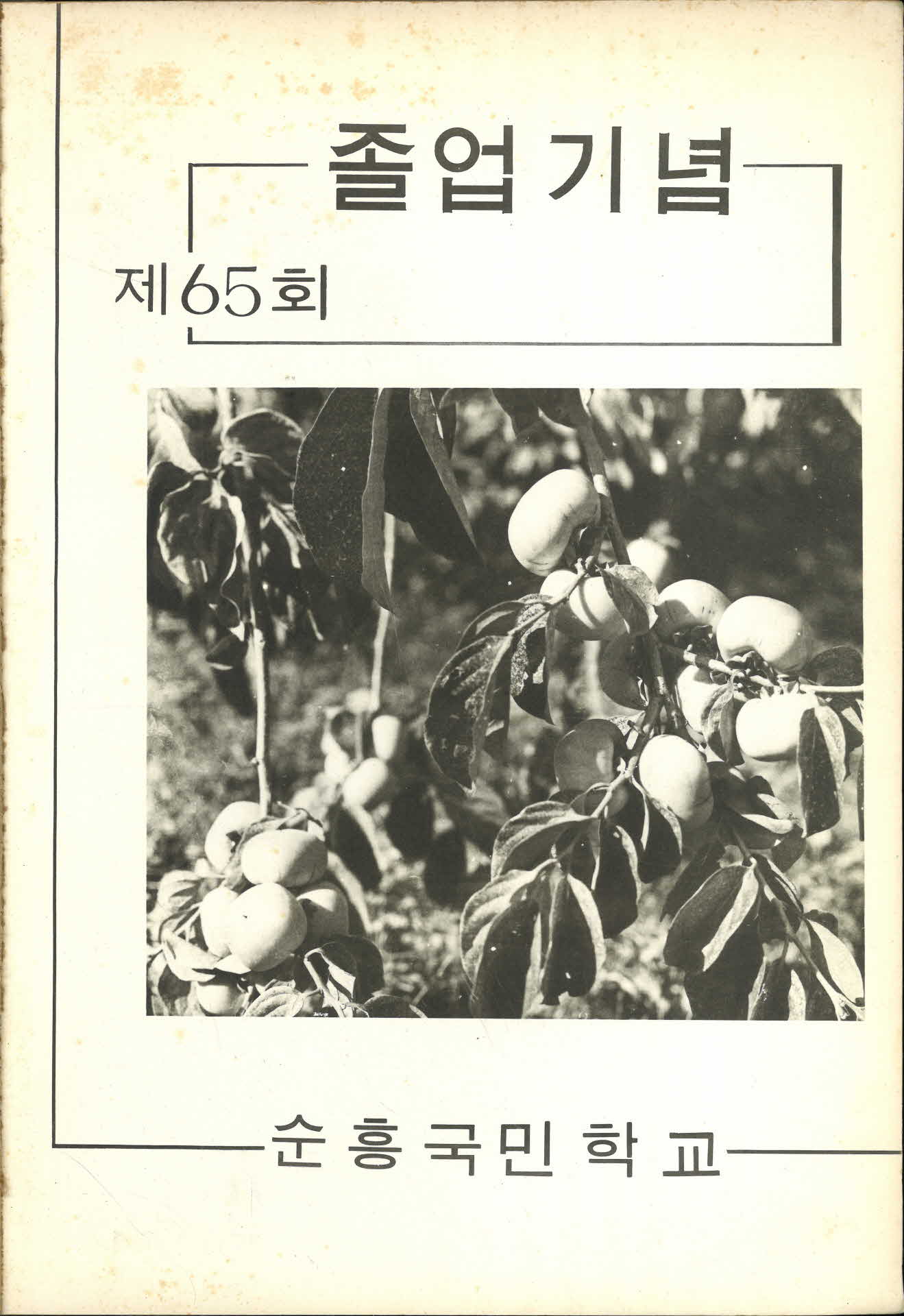 순흥국민학교 제65회 졸업기념