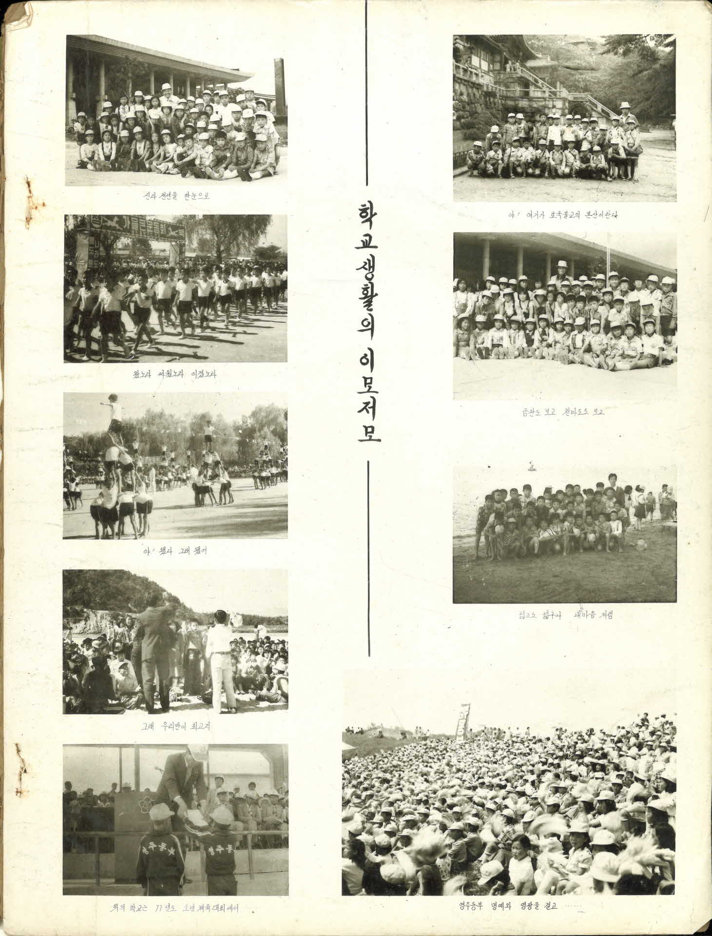 영주동부국민학교 제33회 졸업기념