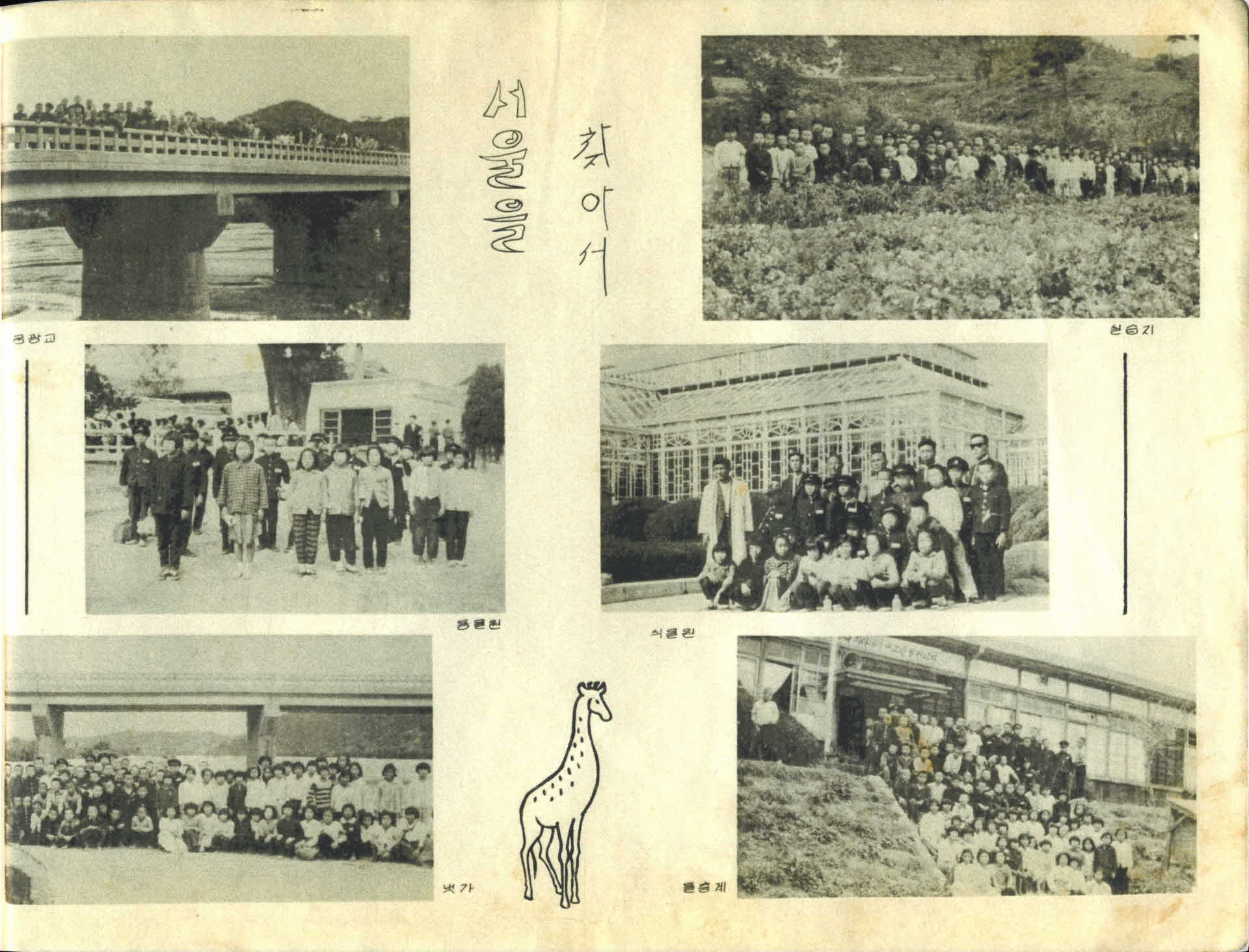 영주평은국민학교 제40회 졸업기념