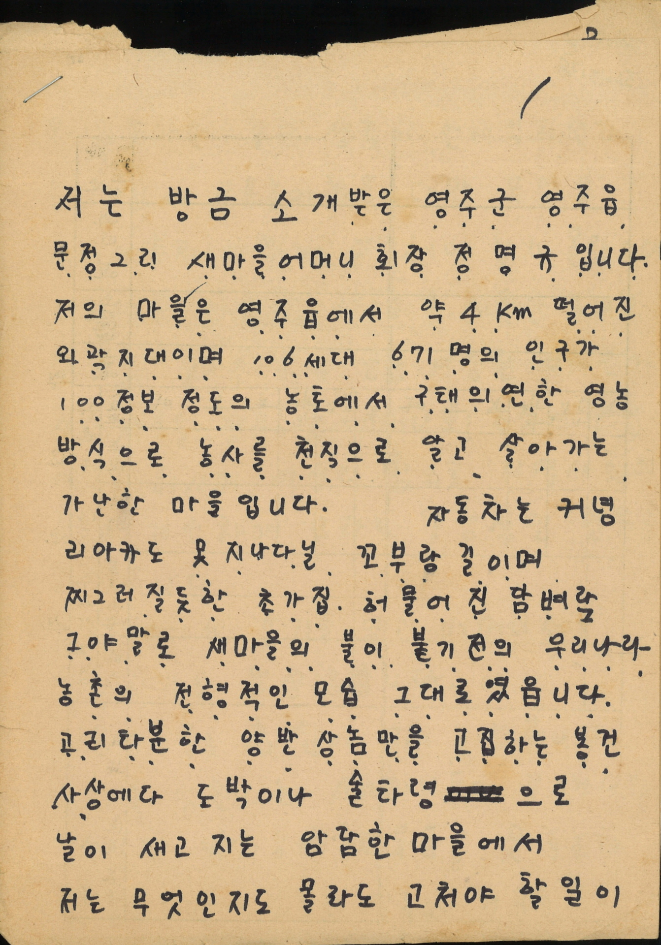 새마을 어머니회 성공사례