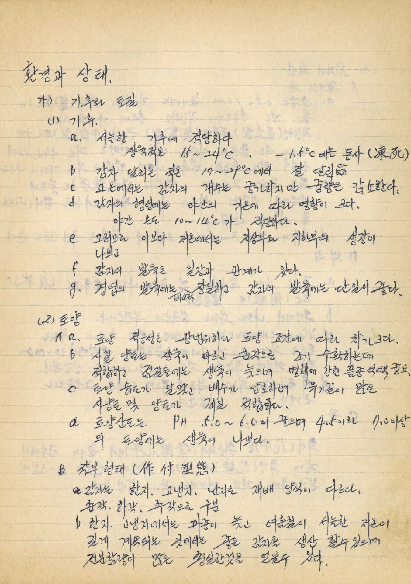 감자 육아 연구 기록장