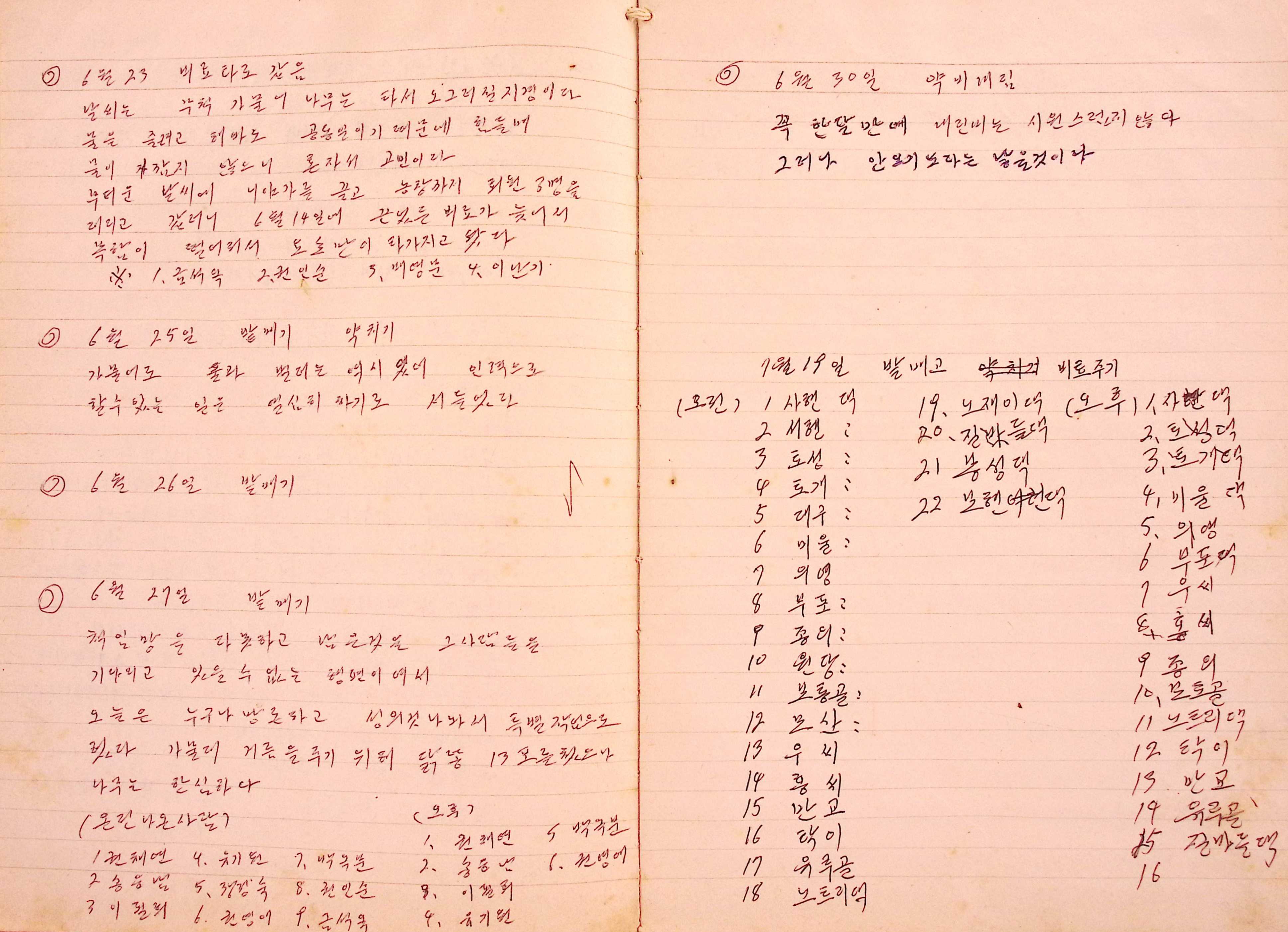 새마을 어머니회 마을 양묘 작업일지(1977년)