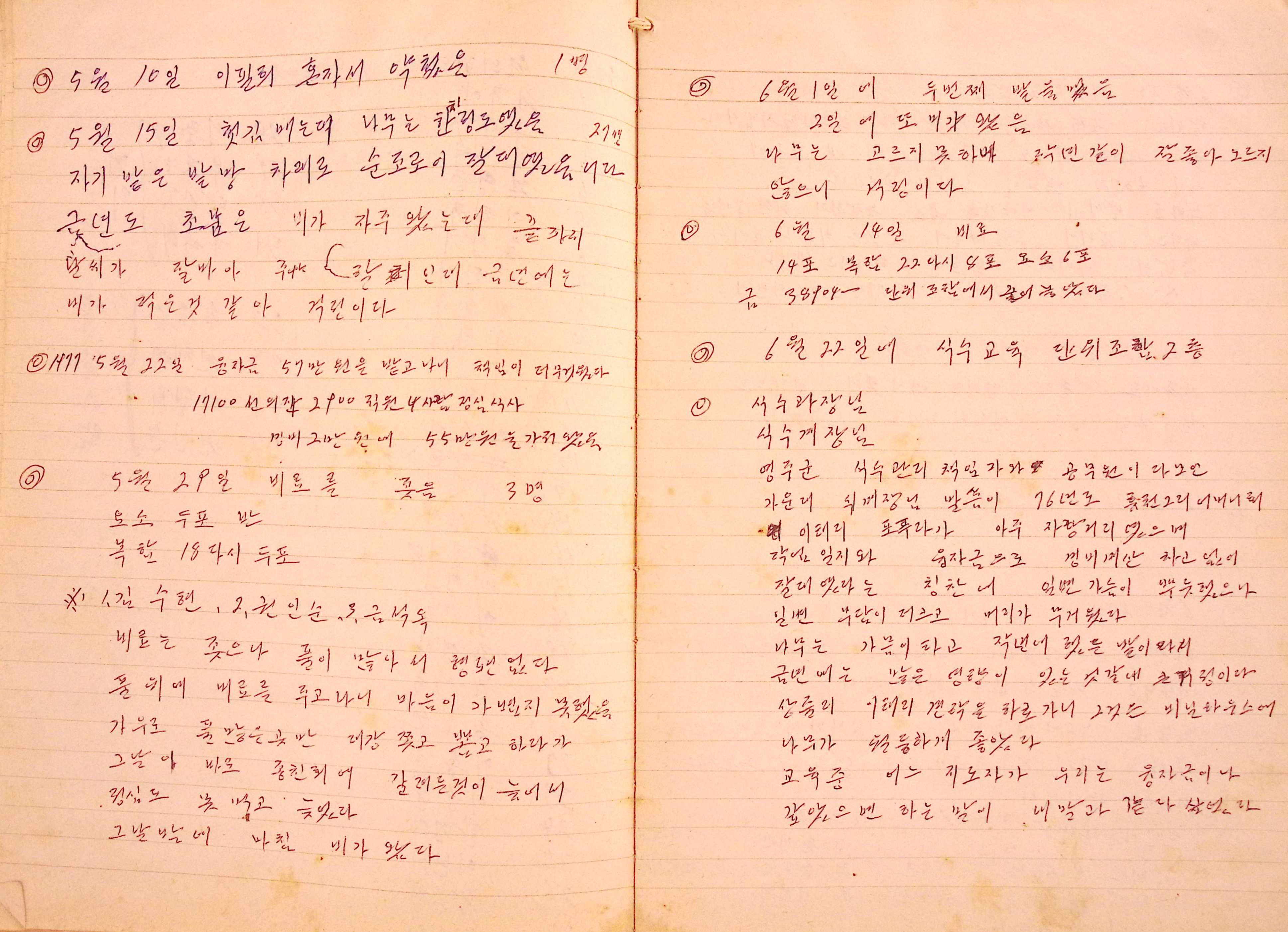 새마을 어머니회 마을 양묘 작업일지(1977년)