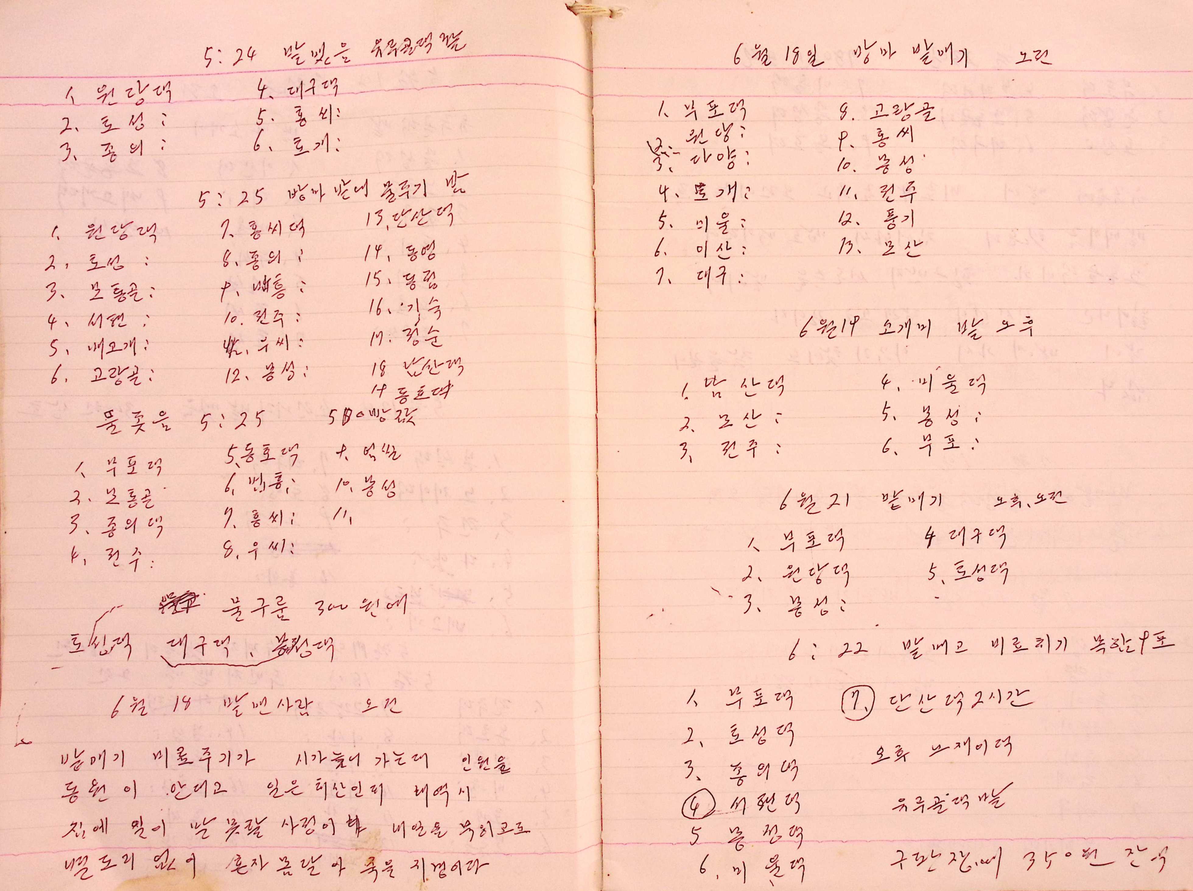 새마을 어머니회 마을 양묘 작업일지(1978년)