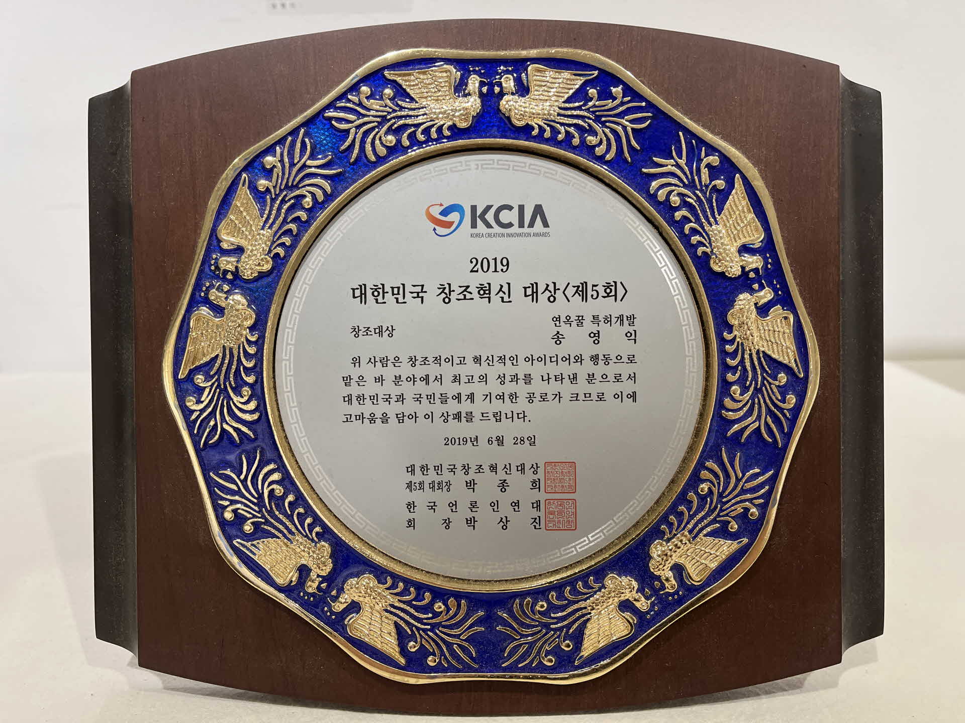 대한민국 창조혁신 대상 패